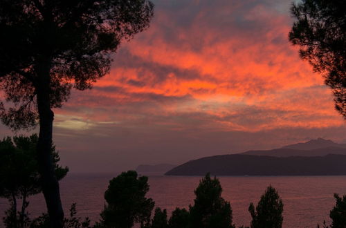 Photo 36 - House With Direct Access and Private Terrace at Sea Near Capoliveri