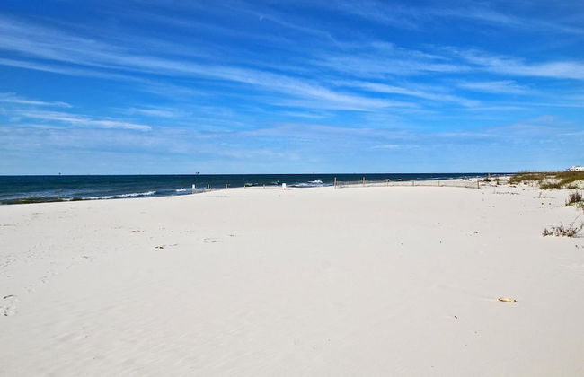 Gulf Shores Plantation 1369 Plus Loft by Youngs Suncoast - Photo 72