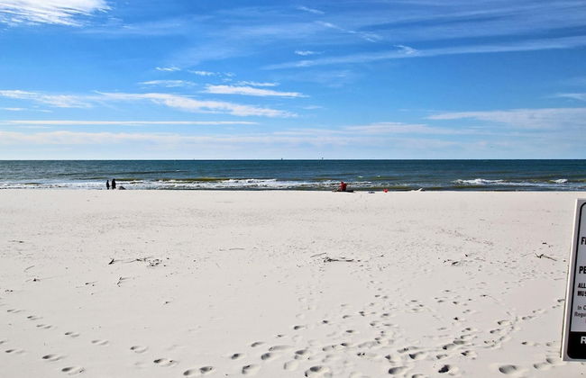 Gulf Shores Plantation 1369 Plus Loft by Youngs Suncoast - Photo 73