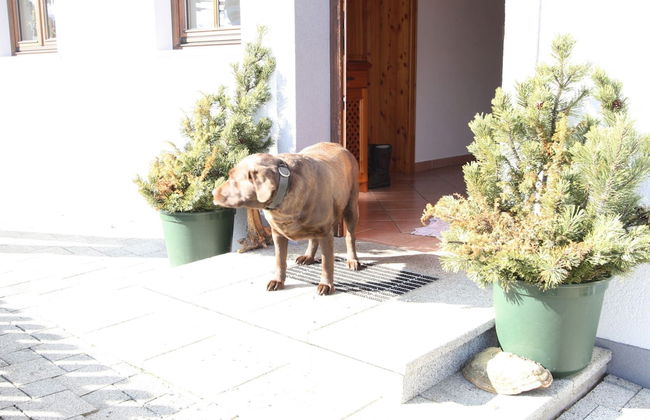Apartment in Huttau Near ski Area - Foto 9