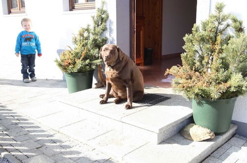 Photo 8 - Apartment in Huttau Near ski Area-formerly TUI Ferienhaus