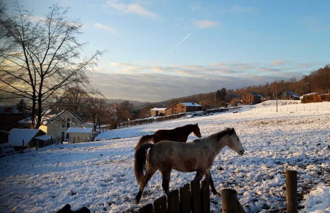 Charming Ardennes Getaway - Foto 2