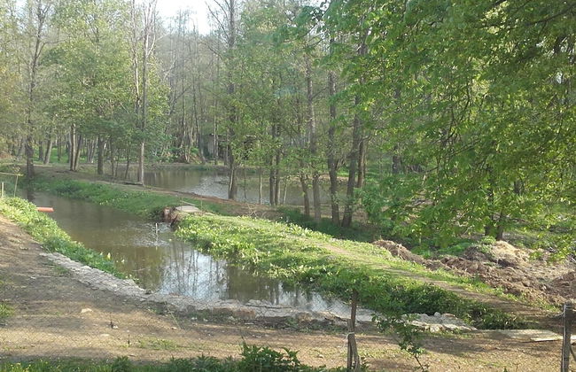 Kyprův mlýn - Foto 37