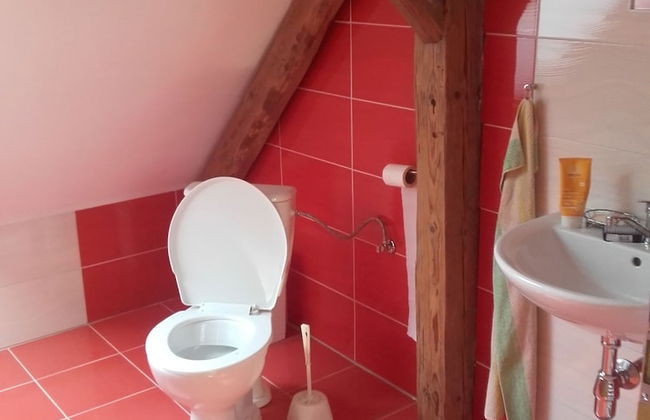 Kyprův mlýn - Foto 28
