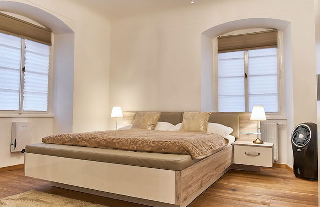 Charles Bridge Royal Apartment - Photo 7