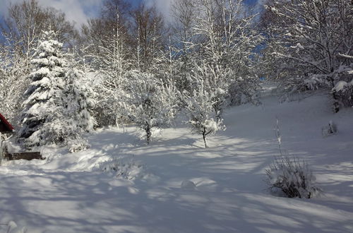 Photo 20 - Spacious Holiday Home in Rudnik With Garden