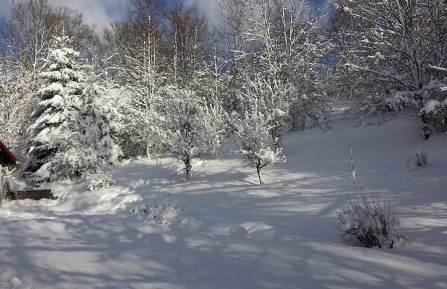 Holiday Home Rudnik Near Ski Lift - Photo 19