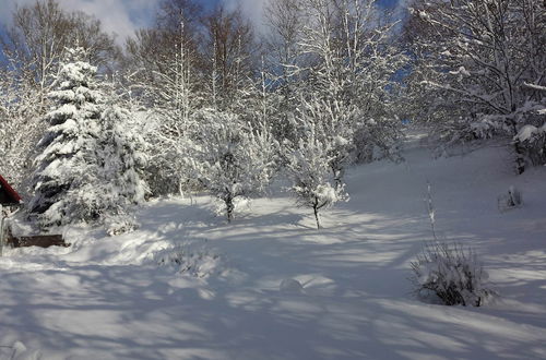 Photo 19 - Spacious Holiday Home in Rudnik With Garden