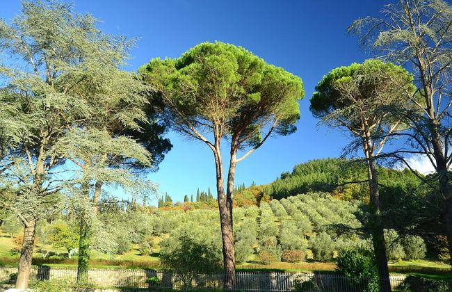 Holiday Home in Dicomano - Foto 12