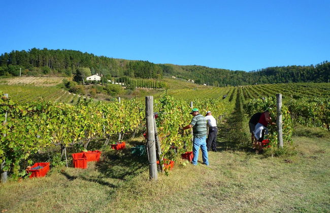 Holiday Home in Dicomano - Foto 22