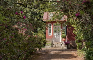 Foto 2 - Quinta de Santo António da Serra