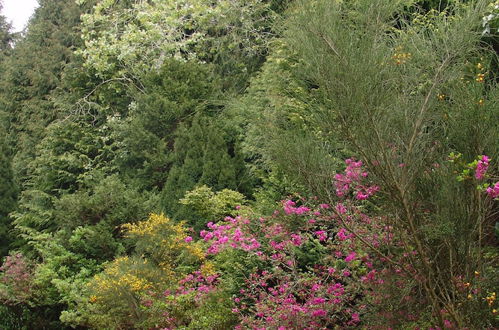 Photo 31 - Quinta de Santo António da Serra