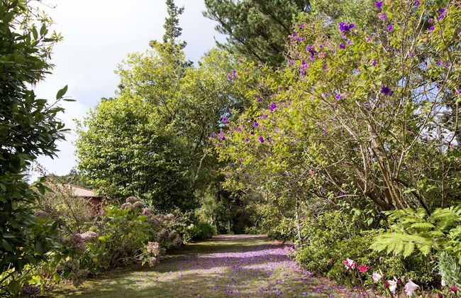 Quinta de Santo António da Serra - Foto 34