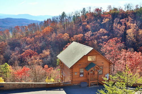 Foto 34 - Howling Wolf - One Bedroom Cabin