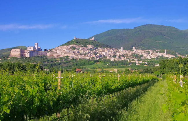Villa in Cannara With Assisi Views - Foto 33