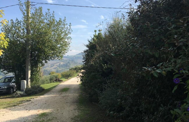 Agriturismo Serena - Foto 31