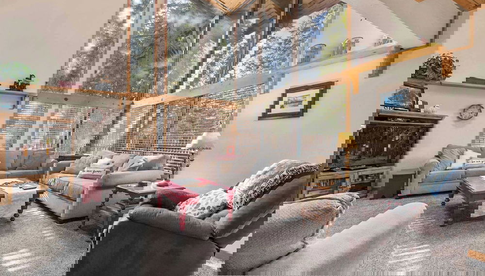 Immagine principale