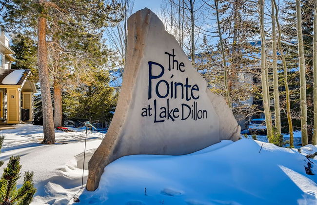The Pointe Town Homes by CRMR - Photo 43