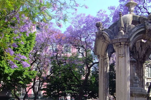 Photo 32 - Lisbon City Stay Largo do Carmo