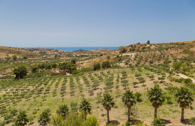 Masseria Agnello - Foto 46