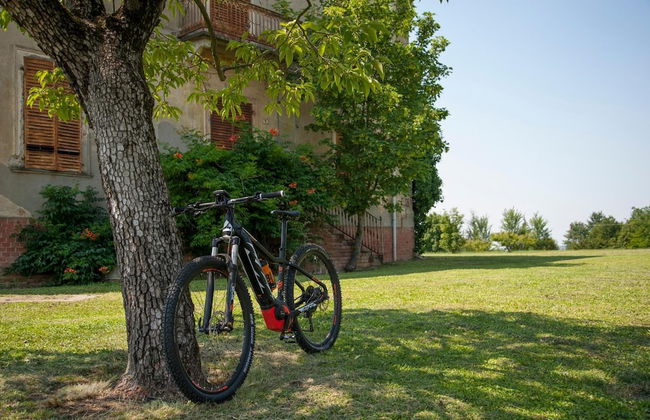 Cascina San Giorgio - Foto 39