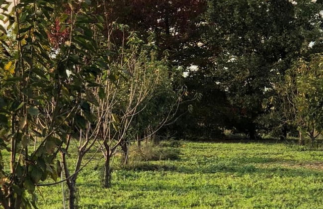 Cascina San Giorgio - Foto 34