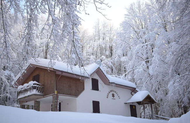 Chalet Il Cristallo - Foto 37