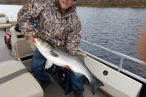 Photo 13 - Striper Fishing & Hunting Lodge