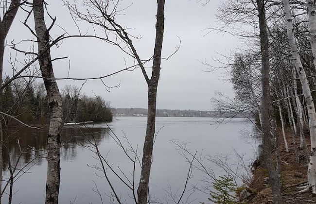 Striper Fishing & Hunting Lodge - Foto 19