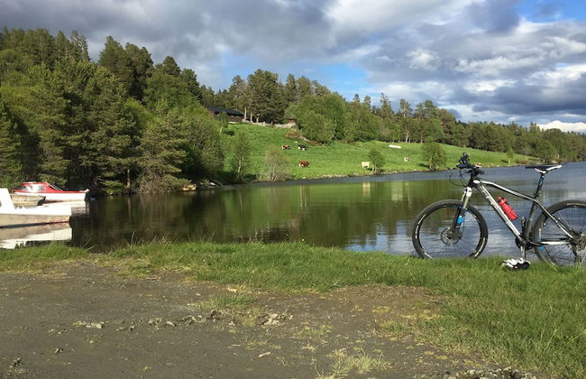 Randsverk Hytter - Photo 34