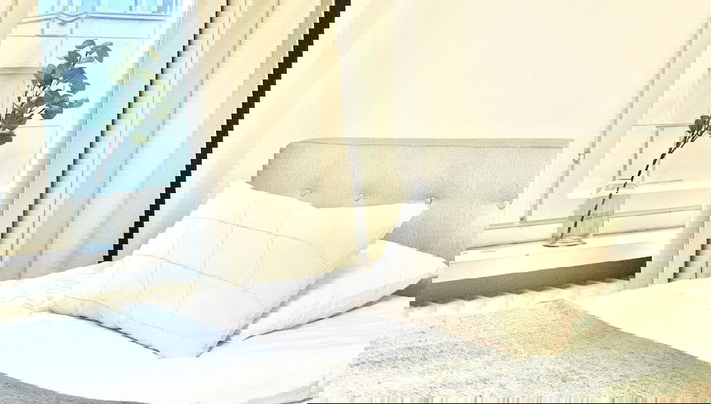 Image principale