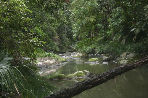 Photo 27 - Rose Gums Wilderness Retreat