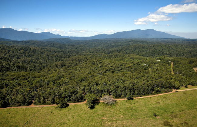 Rose Gums Wilderness Retreat - Foto 38