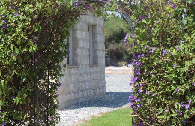 Gaia Residence in Polis Chrysochous Paphos - Foto 26