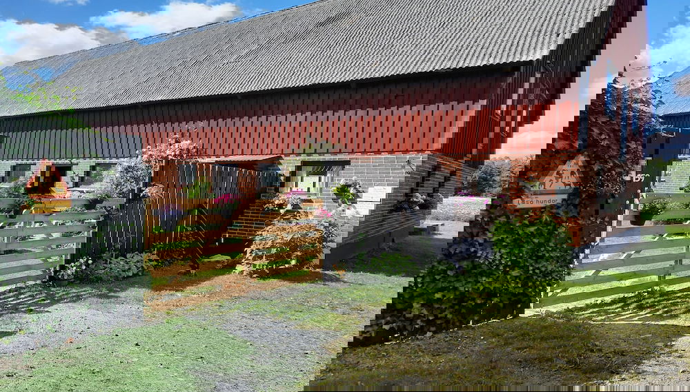 Primary image