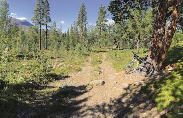 Randsverk Hytter i Lemonsjøen Fjellpark - Photo 15