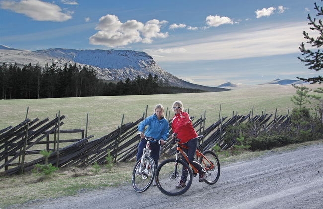 Randsverk Hytter i Lemonsjøen Fjellpark - Photo 14