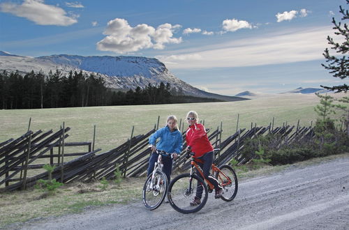 Photo 14 - Randsverk Hytter i Lemonsjøen Fjellpark