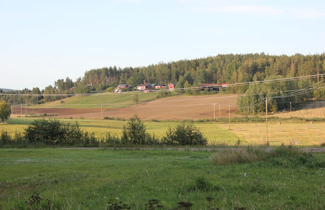 Happy Hudiksvall - Foto 64