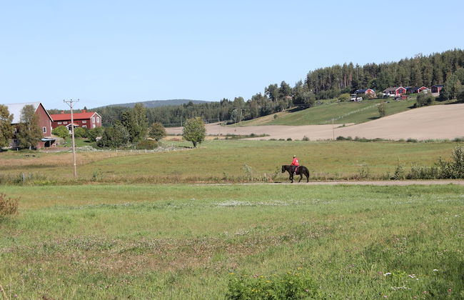 Happy Hudiksvall - Foto 59