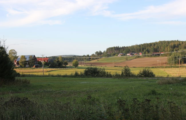 Happy Hudiksvall - Foto 65