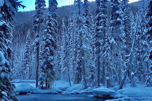 Photo 30 - Belle Neige Suites- Whistler