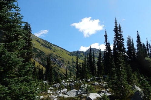 Photo 20 - Belle Neige Suites- Whistler