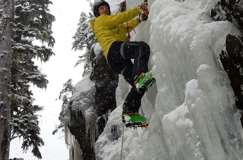 Photo 16 - Belle Neige Suites- Whistler