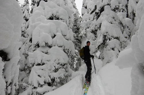 Foto 24 - Belle Neige Suites- Whistler