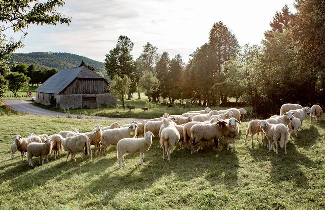 EkoTurizem Hudičevec - Foto 41