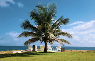 Photo 3 - Casa Los Sue os in Punta Cana