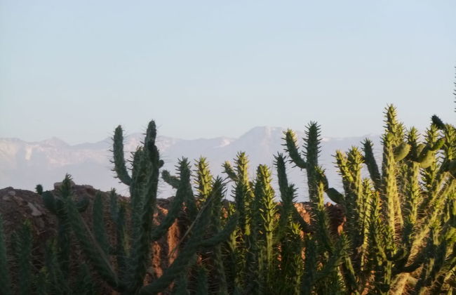 La Parenthese de Marrakech - Foto 39