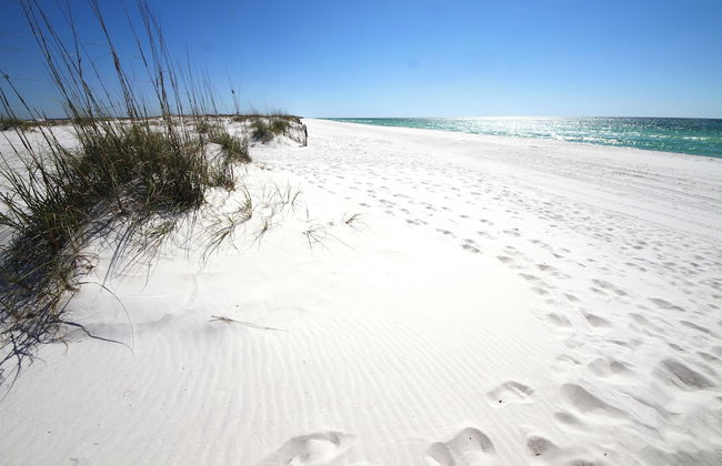 Texas Tides - Foto 29
