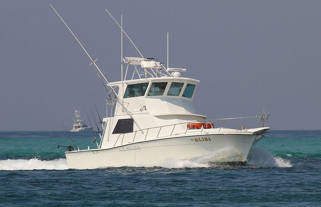 Texas Tides - Foto 24